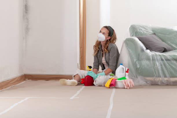 Reliable Basement Mold Remediation contractor in Muskegon, MI by Car Mold Remediation